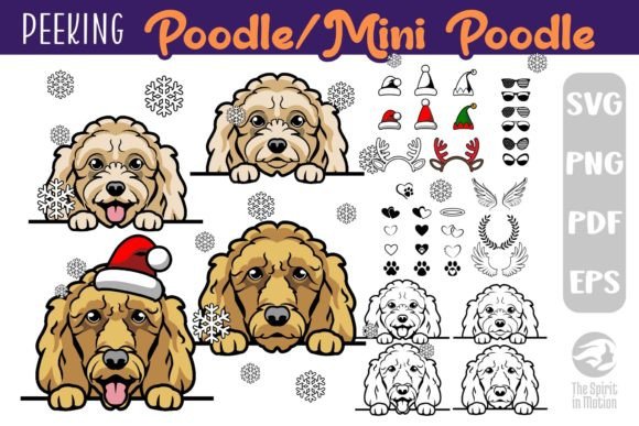 Download Poodle PNG, SVG, Clipart &amp; Cutfiles - Art Collection