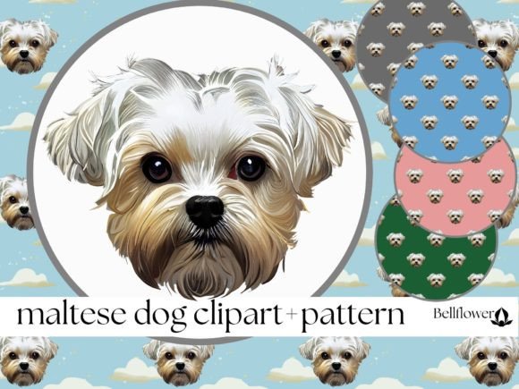 Download Maltese Dog Clipart and Seamless Pattern - Art Collection